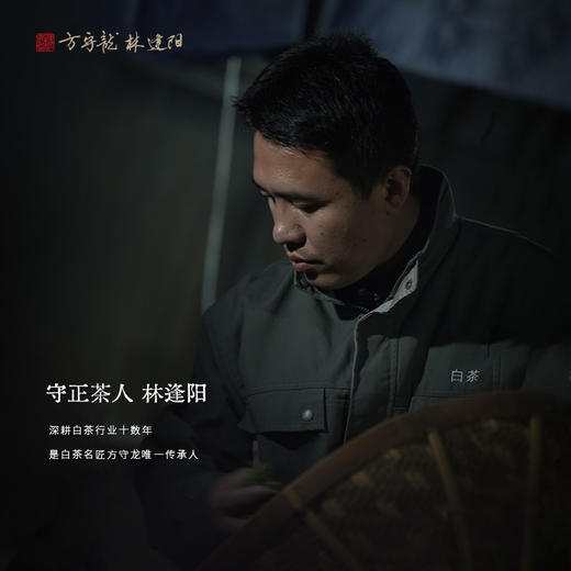 方守龙 2025年三级白牡丹75g太姥山福鼎白茶[官方旗舰店正品直供] 商品图3