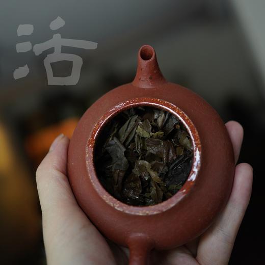 渐喜七年陈 2017年湖林寿眉茶饼福鼎磻溪老白茶 [藏茶密室.宝之] 商品图1