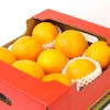 雷波脐橙5kg 商品缩略图2