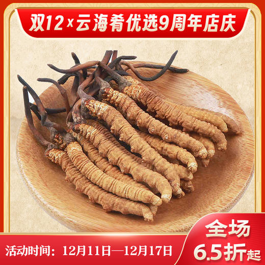 【冬虫夏草干货】顺丰到家 人工精挑细选 根根饱满 环纹清晰 干度适宜 虫体肥壮饱满 多种规格任选 商品图0