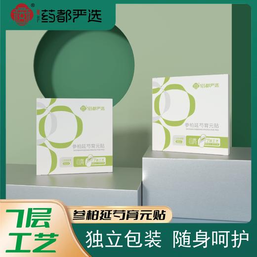 【药都严选】参柏延芍育元贴（一盒装） 商品图0