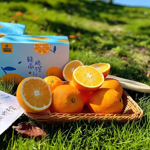 【新鲜上市 8.3折起】江西赣南脐橙 生态橙子水果 带箱3斤/5斤/10斤 商品图5