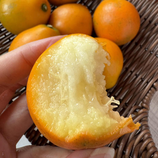 【推荐】第三代融安金桔28°C  脆蜜金柑 一箱3斤 礼盒装大果  纯甜不涩口 商品图2