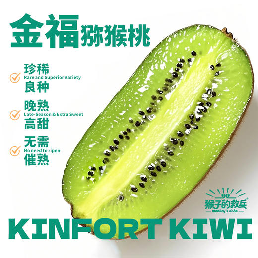陕西周至金福硬食猕猴桃 猴子的救兵硬食猕猴桃 新鲜直供 原生态绿色食品 清香鲜甜 细腻香糯 现摘现发 新鲜美味【顺丰/京东包邮】 商品图1
