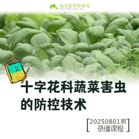 十字花科蔬菜害虫的防控技术【线上】课程