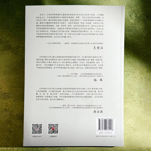 非权威式父母互助沙龙指南 美好教育系列丛书 王茜 王妍人 商品图2