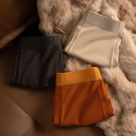 XN-ML897  【1条】10A桑蚕丝抗菌男士内裤 纯棉无痕平角内裤男短裤 商品图2