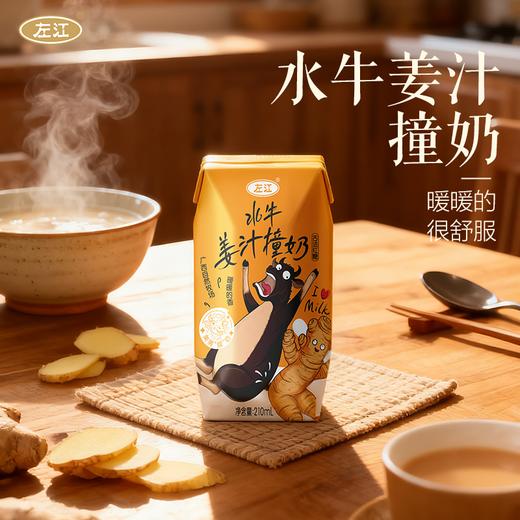 左江水牛姜汁撞奶 暖冬新品 驱寒暖胃营养美味 商品图1