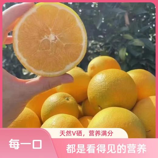 正耕 吉祥呈-有机富硒赣南脐橙 商品图3