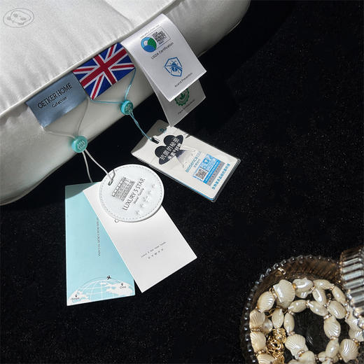 热卖中！！【英国百年品牌】欧特家·OETKER七星级酒店 禾素PHBV立体护脊享睡枕【中科院X香港理工大学联合研发】（下单72小时内发货！） 商品图3