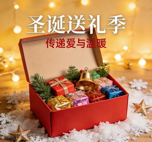 圣诞礼物化妆品合集 商品图0