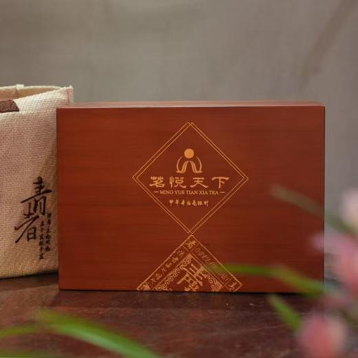 【青者】2023年白毫银针 商品图0