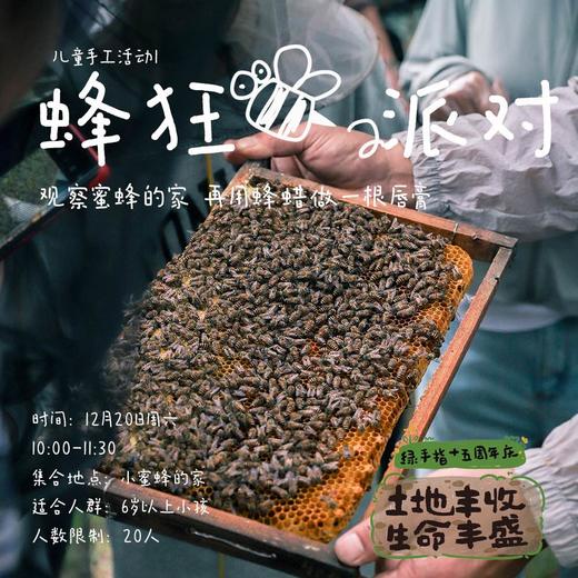 六大主题活动·15周年庆游园会（广东珠海） | 农园活动 商品图1