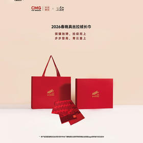 2026春晚真丝拉绒长巾