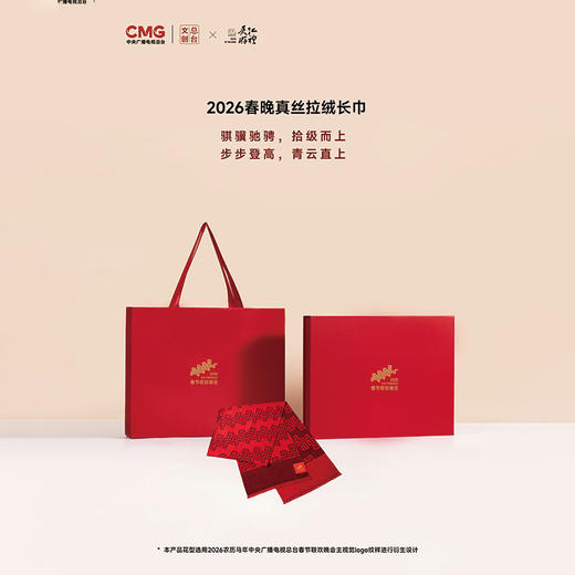 2026春晚真丝拉绒长巾 商品图0