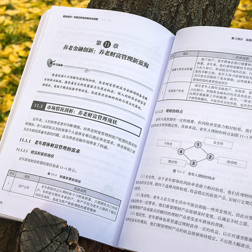 银发经济 : 中国式养老的商业化突围 商品图5