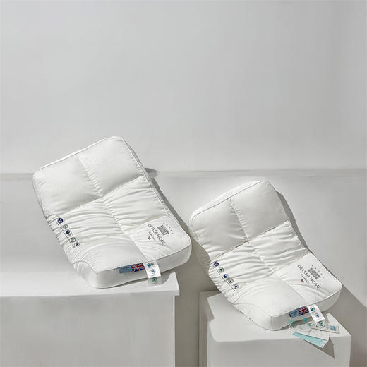 热卖中！！【英国百年品牌】欧特家·OETKER七星级酒店 禾素PHBV立体护脊享睡枕【中科院X香港理工大学联合研发】（下单72小时内发货！） 商品图5