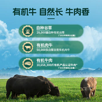 天莱香牛新疆有机真原切肥牛肉卷300g 谷饲300天火锅烧烤食材清真 /生鲜 /猪牛羊肉 /牛肉 商品图1