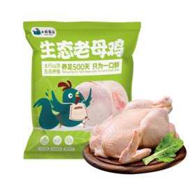 小鸡海蒂·太行山生态老母鸡1只装 1.15kg-XJ