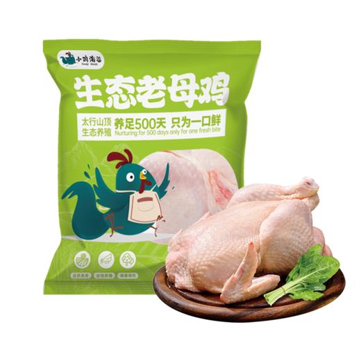 小鸡海蒂·太行山生态老母鸡1只装 1.15kg-XJ 商品图0