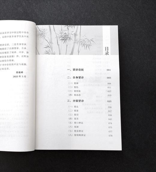 望诊速记歌诀 商品图2