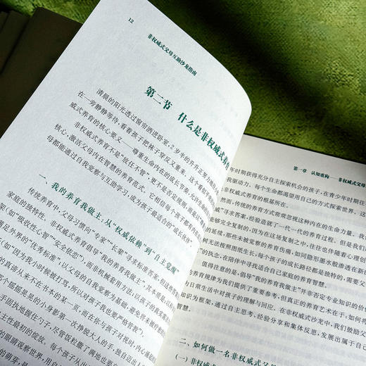 非权威式父母互助沙龙指南 美好教育系列丛书 王茜 王妍人 商品图11