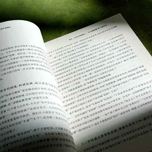 非权威式父母互助沙龙指南 美好教育系列丛书 王茜 王妍人 商品图9