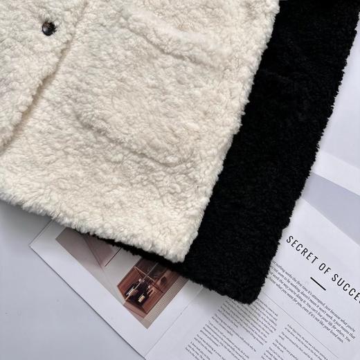 D121032冬季轻盈高保暖立领单排扣羊羔毛高质感毛毛外套 商品图5