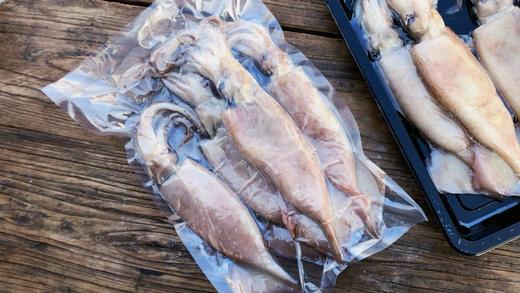 渤海火箭鱿鱼   3斤装 商品图5