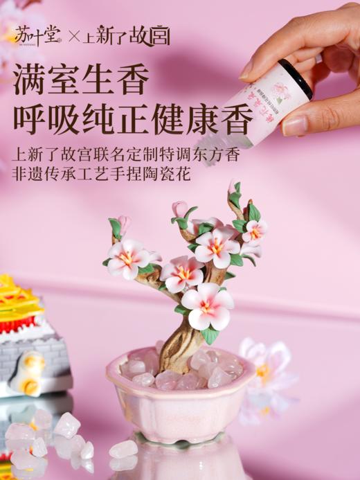 上新了故宫·苏叶堂-陶瓷花盆景故宫礼盒 商品图7