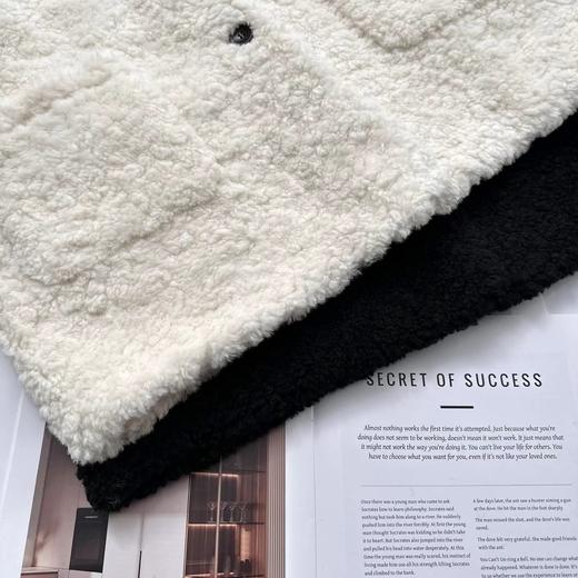 D121032冬季轻盈高保暖立领单排扣羊羔毛高质感毛毛外套 商品图4