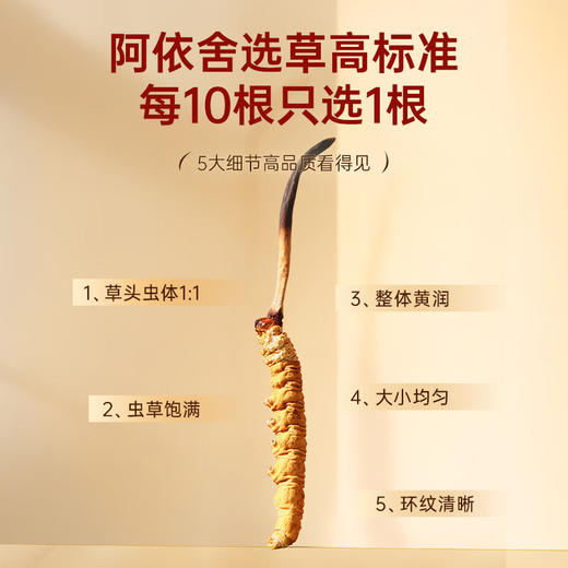 阿依舍 西藏野生冬虫夏草 约5根/g 10克约50根 那曲虫草礼盒礼品 商品图5