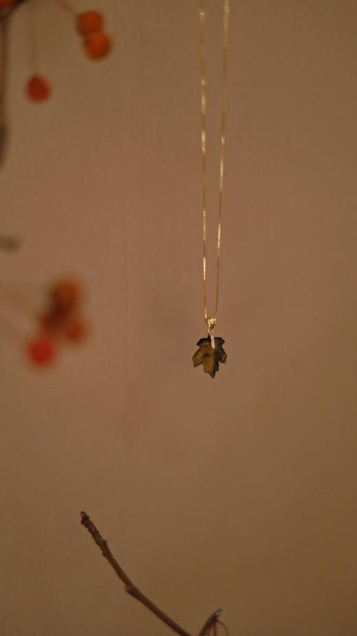 宣枫项坠项链 商品图3