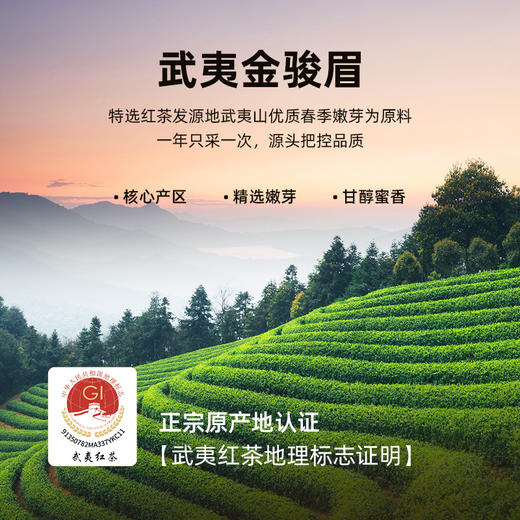 华祥庄园-金骏眉红茶礼盒装256g-XJ 商品图5