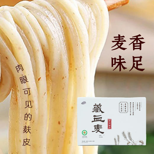 【静思书轩】藏血麦全谷面条高纤维0脂肪低GI自然风干粗粮面有机认证无污染面粉来自青藏雪域 商品图1