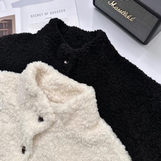 D121032冬季轻盈高保暖立领单排扣羊羔毛高质感毛毛外套 商品图3