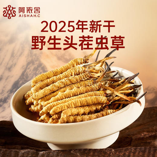 阿依舍 西藏野生冬虫夏草 约5根/g 10克约50根 那曲虫草礼盒礼品 商品图2