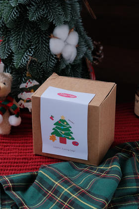 【充值兑换】圣诞马克杯（盲盒惊喜）