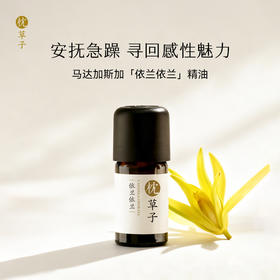 枕草子 依兰依兰精油安抚急躁挥洒魅力