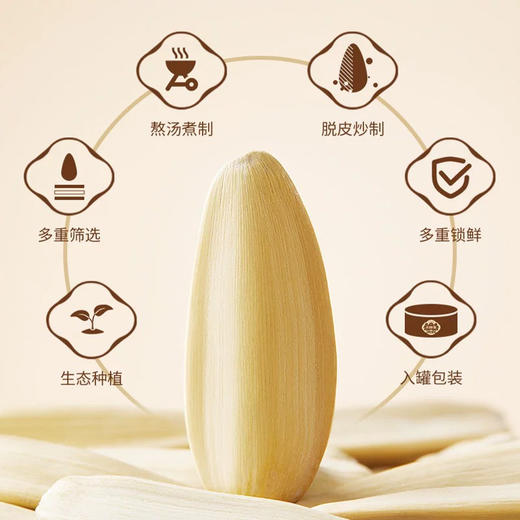 三胖蛋五香葵花籽175g 商品图3