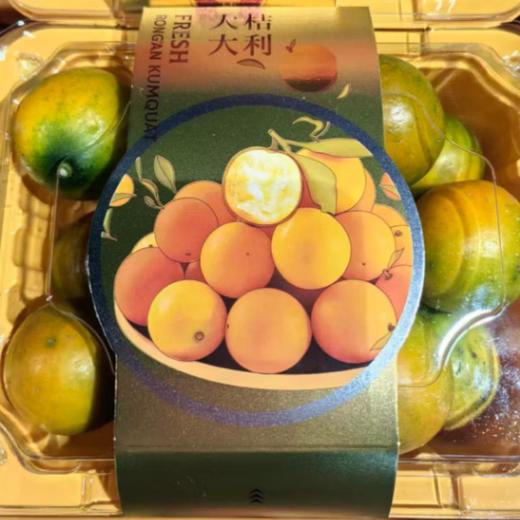 脆皮金桔约400G 商品图0