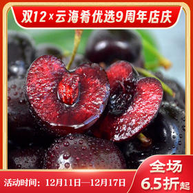 【智利进口车厘子】顺丰包邮 南半球“红宝石” 鲜甜脆嫩 汁水丰富 饱满圆润  果肉Q弹厚实 4种规格任选