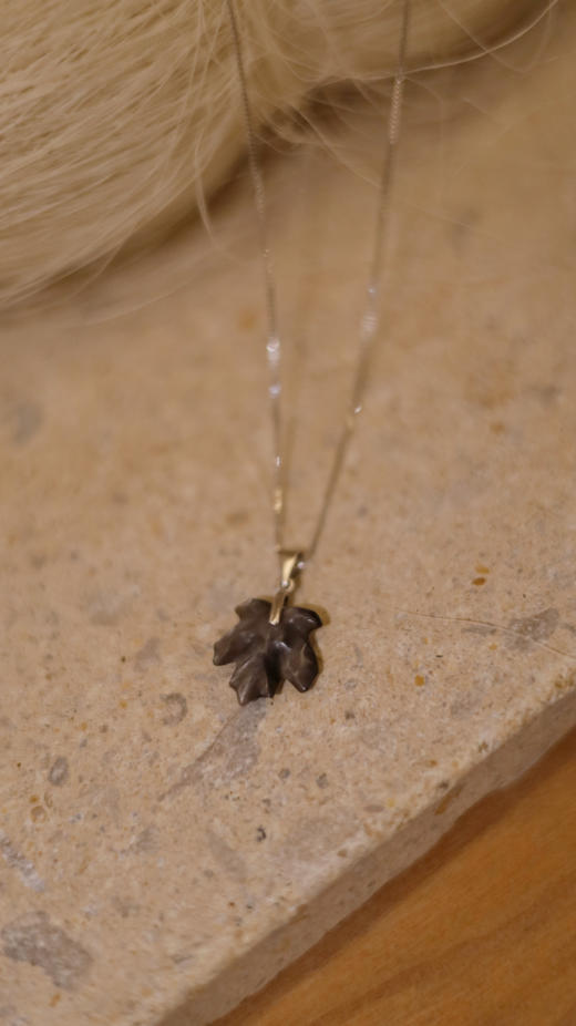 宣枫项坠项链 商品图1