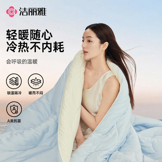 洁丽雅抑菌被子A类被芯单双人被子冬被棉被四季通用锁温 商品图0