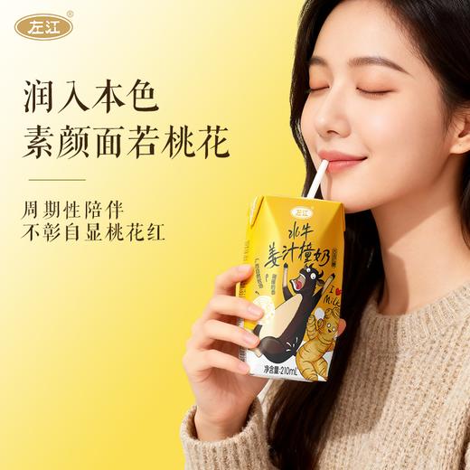 左江水牛姜汁撞奶 暖冬新品 驱寒暖胃营养美味 商品图3