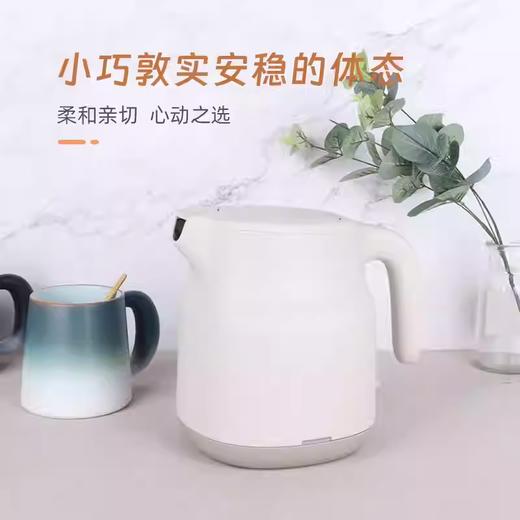 酒店专用bowei泊为电热水壶BW366家用开水壶民宿宾馆316不锈钢 商品图1