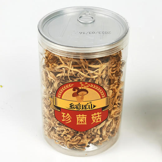 【大石山】虫草菇（罐装）100克 商品图0