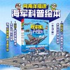 向海洋挺进·海军科普绘本（全3册） 商品缩略图0