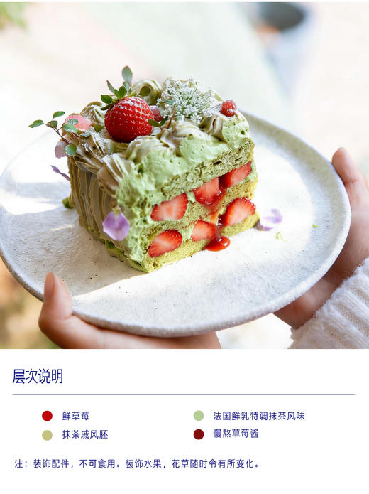 浅草（抹茶鲜乳） 商品图3