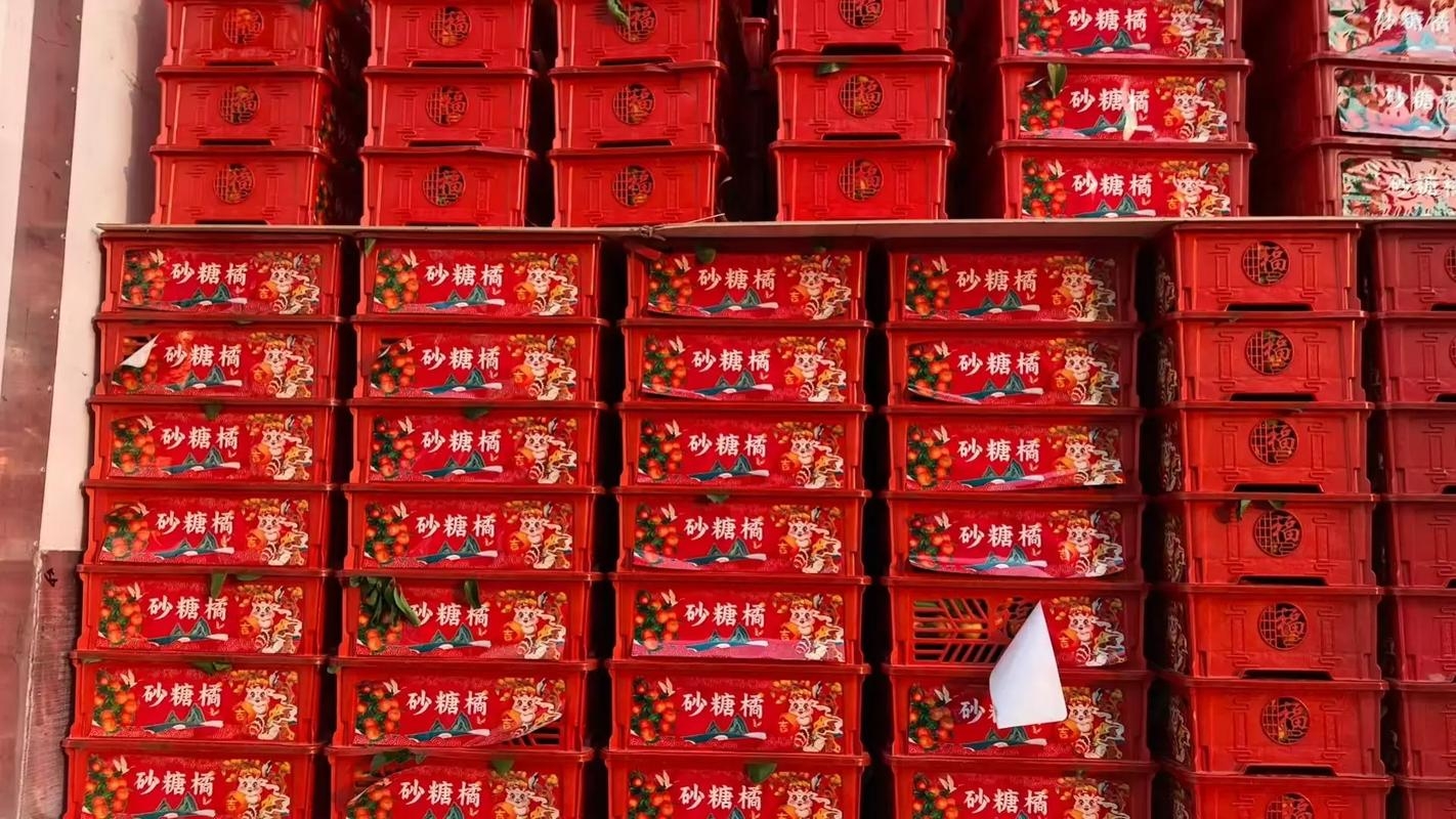 广西沙糖桔21.8元1筐毛约5.5斤，明天到